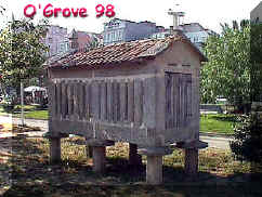 grove.jpg (19381 bytes)